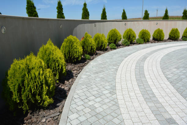 Best Best Driveway Pavers  in Newmanstown, PA